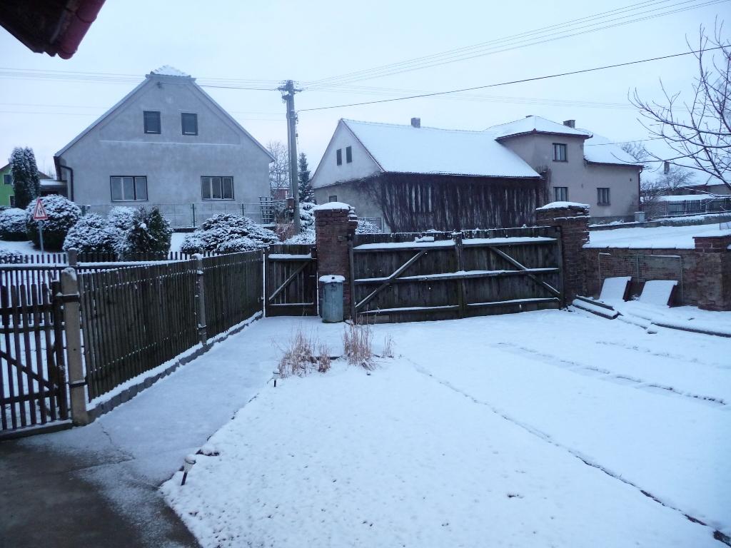 Třibřichy